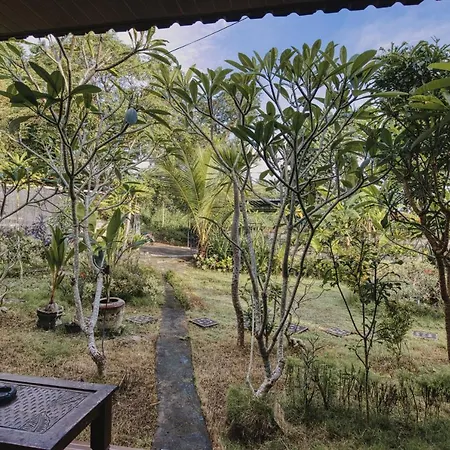 The Banana House Hotel Sakti Exterior photo