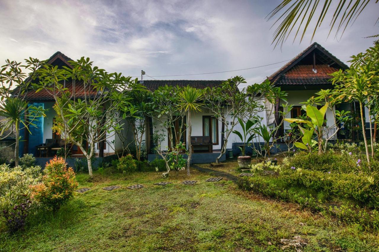Guest house The Banana House *