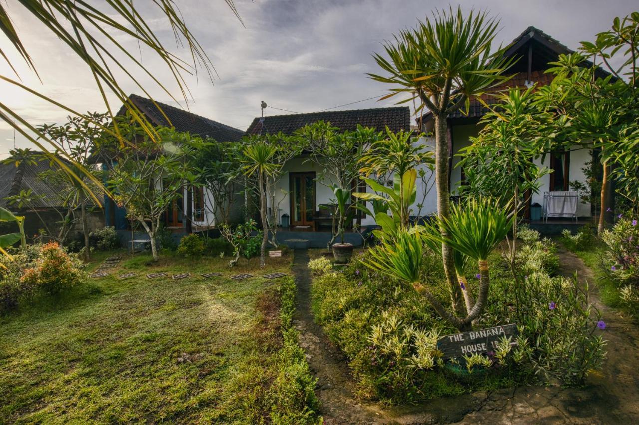 The Banana House Guest house