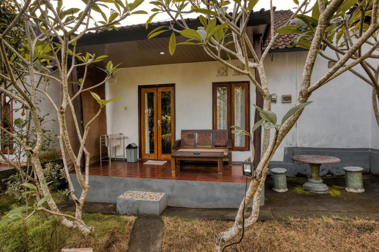 The Banana House